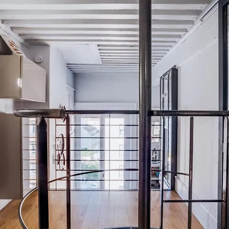 Loft Design And Spacious Croix-rousse District Apartment Lyon